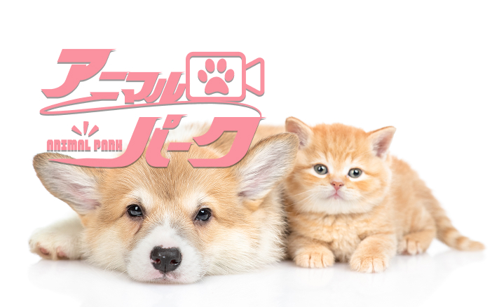 アニマルパーク
